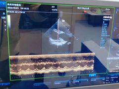-康成宠物医院24H·CT·核磁共振