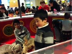 -上海贝贝佳幼儿园