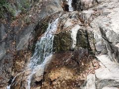 -九龙江国家森林公园