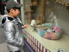 -证大大拇指广场(芳甸路店)