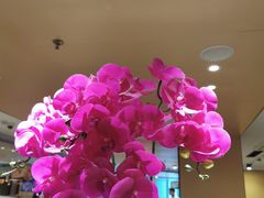 -海底捞火锅(旭辉MALL店)