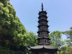 -上海佘山国家森林公园西佘山园