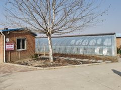 -甜心庄园·甜心草莓采摘园(西青中北店)