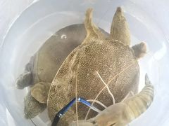 -粮心小农·大头虾亲子生态园(长发店)