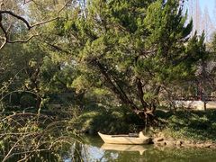-上海醉白池公园