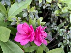 -重庆中央公园(渝北区)