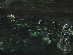 -丝绸小镇荻港古村
