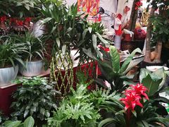 -秦美花卉(天朗·莱茵小城2期店)