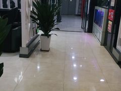 -绿树电竞(五路店)