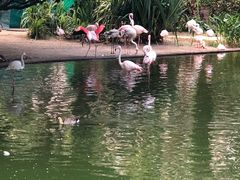 -九龙公园
