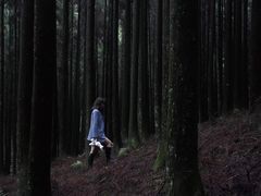 -山王坪喀斯特国家生态公园