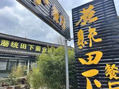 -蘑统田下·野生菌火锅