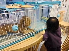 -柴犬小屋·柴餐厅·狗咖食堂(金鼎广场店)