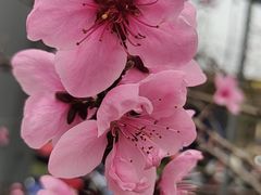 -广富林郊野公园
