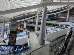 -招商蛇口邮轮母港(观光客运)