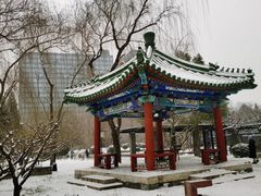 -月坛公园