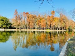 -上海共青森林公园