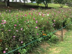 -钟山体育运动公园