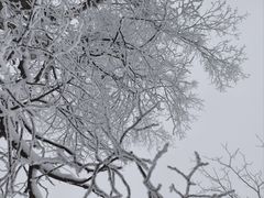 -中旅松花湖滑雪场