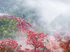 -岳西天峡风景区