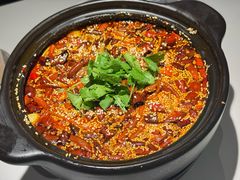 传统毛血旺-麻六记(新天地店)