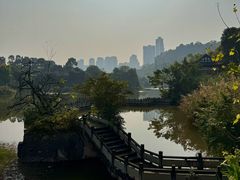-张坝桂圆林公园