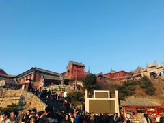 -醉得意·山茶油炒土鸡(泰安火车站大润发店)