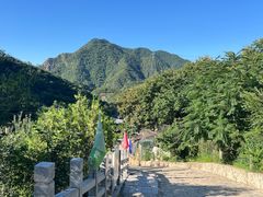 -大岭沟猕猴桃谷风景区