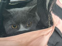 -全心全意连锁动物医院(加州店)