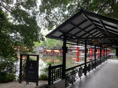 -侨美·唐荔园·40年地道粤菜