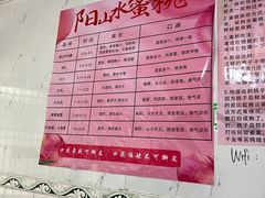 -老袁家蜜桃农场·阳山水蜜桃