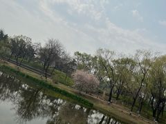 -万泉公园