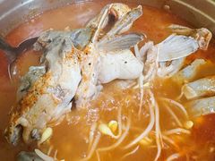 -弘烨 贵州酸汤 鱼火锅(东财店)