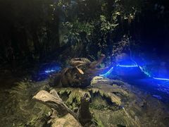 -东方山水乐园山之王国(全室内)