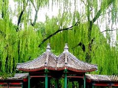 -宣武艺园