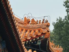 -颐和园