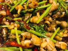 -小海丁