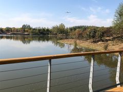 -东郊湿地公园
