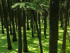 -青山湖景区