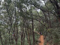-灵岩山风景区