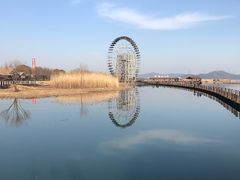 -太湖湖滨国家湿地公园-停车场