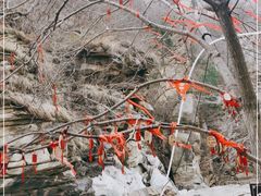 -黑龙潭风景区