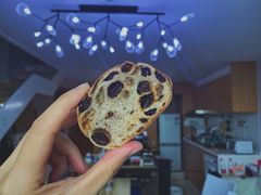 全麦水果条-Dough&Joe团憩(瑞虹天地月亮湾店)