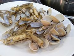 -蚝专家