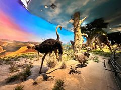 -国家自然博物馆