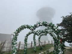 -长沙黑麋峰国家森林公园