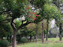 -南宁市凤岭儿童公园