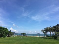 -采粤轩中餐厅(惠州金海湾喜来登度假酒店)