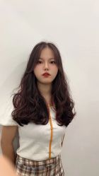 -YESIDO椰岛造型