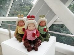 -凤凰中心